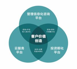 管理咨询公司 AMT 企源科技 中国领先的管理咨询公司